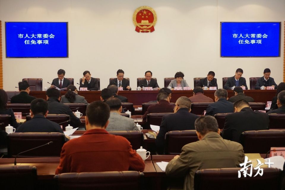 重磅!江门机构改革后，任命19名市政府机构主要负责人