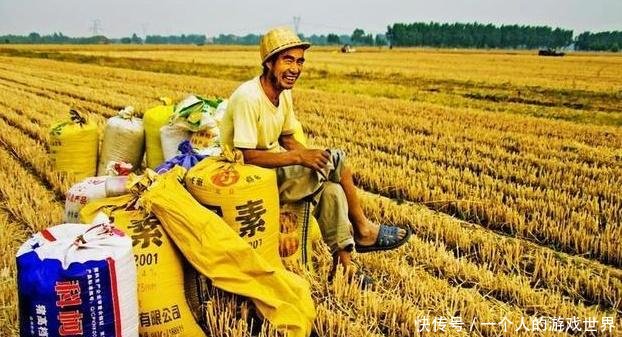 粮价突变19年补贴定不得超过300元亩！直接打卡！