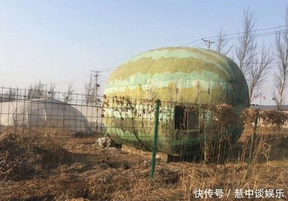  「长出」农民地里长出8米大“巨型西瓜”,细看之后大家都笑了！