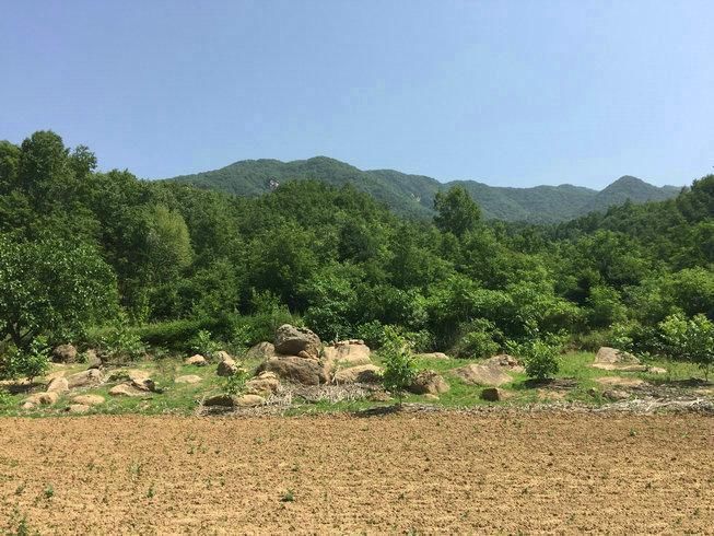 河南大龙结宝穴七脑芙蓉大帐，穴隐脉藏待高人指点风水