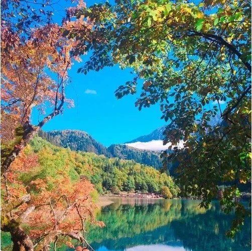 降价了!九寨沟、峨眉山等等4A景区，避开人流小众民宿玩法!