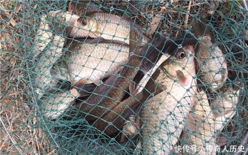 钓友@春季在自然水域钓几条就没鱼咬钩了,老钓友教你三招,野钓上鱼多