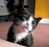 十一小长假或迎大降温!拥堵路段提前get，还有美景攻略请收好