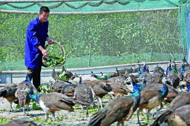  吃香：好消息未来几年这三个行业很吃香，想挣钱的要早做准备