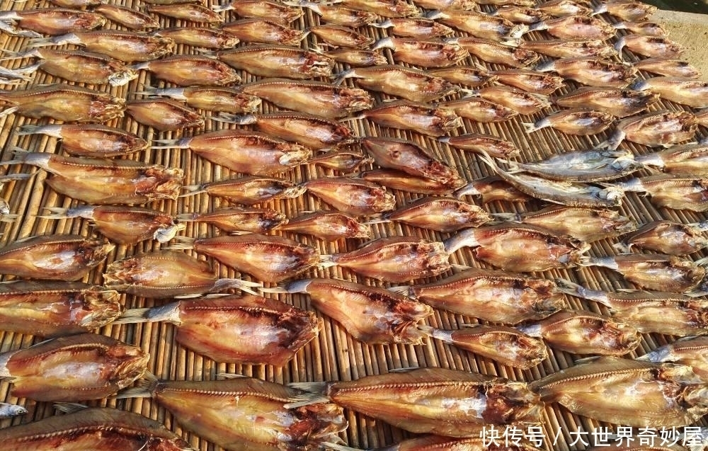  「出水」它曾是河里一大祸害，脾气暴躁出水就死，如今成珍贵品