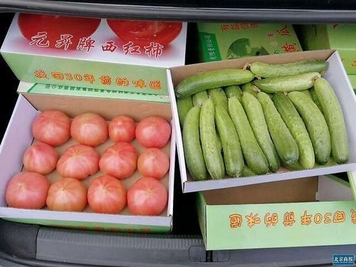 [上市]平谷夏各庄镇“老味道西红柿”成熟上市