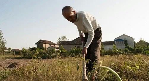  「农民朋友」年底之前，村干部“严防死守”，杜绝3种行为出现，