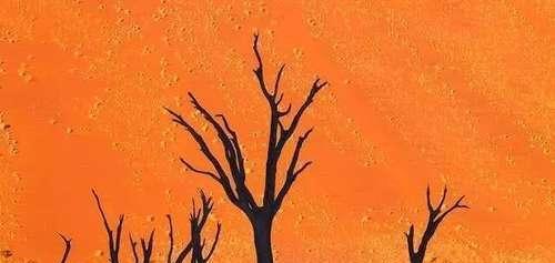 20张不可思议的照片，证明大自然无所不能！