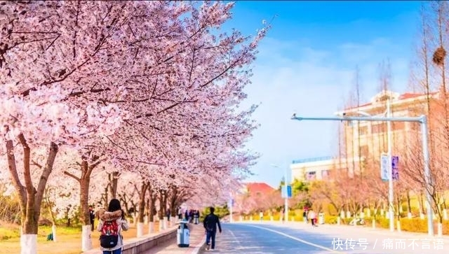开学了,去青岛最美大学去逛一逛吧,个个堪比5A级景区