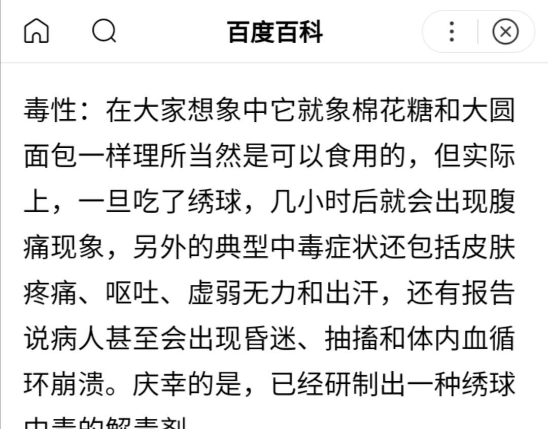  有毒|这花有毒？没错，真的有毒！——绣球