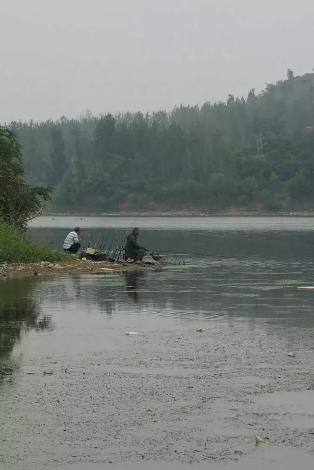 淄川磁村刘瓦水库看钓鱼_【快资讯】