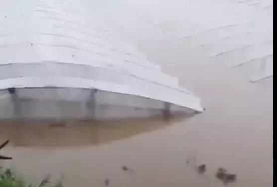 已造成157亿损失的“利奇马”又杀向山东，寿光蔬菜大棚告急……