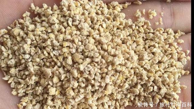  『解决』“春分”到小鱼闹，鲫鱼变得不好钓！巧用小鸡饲粒解决烦恼