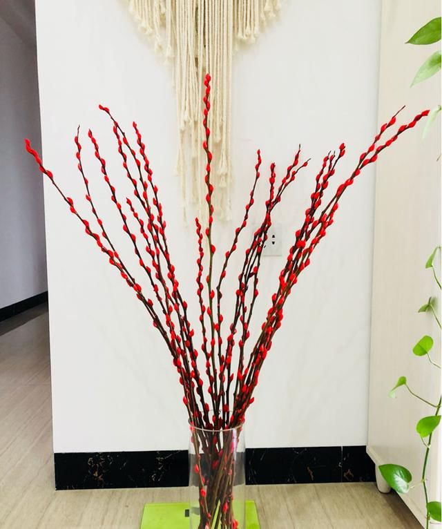  「假花」都说它是假花，没想到喂点水，就能开满枝！