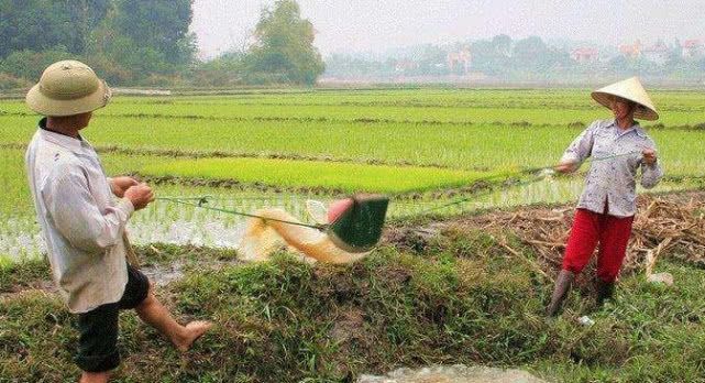  「国家」越南人口近亿，国土仅有中国的三十分之一，怎么还有大