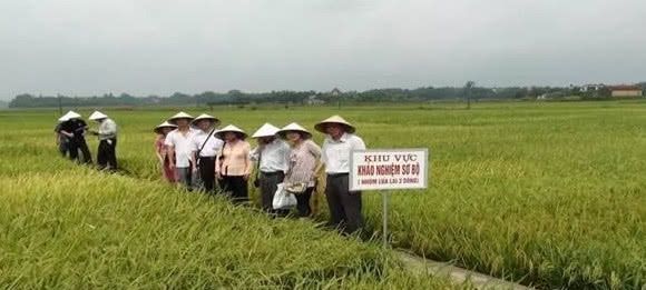  「越南」越南人口近亿，国土仅有中国的三十分之一，怎么还有大