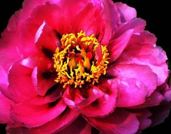 #滚滚#进入4月份后,福到财到,偏财正财滚滚来,财库满贯的四大生肖!
