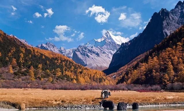 想省钱省时的自驾游怎么走？走川西能省哪些钱呢（附路线 景点）