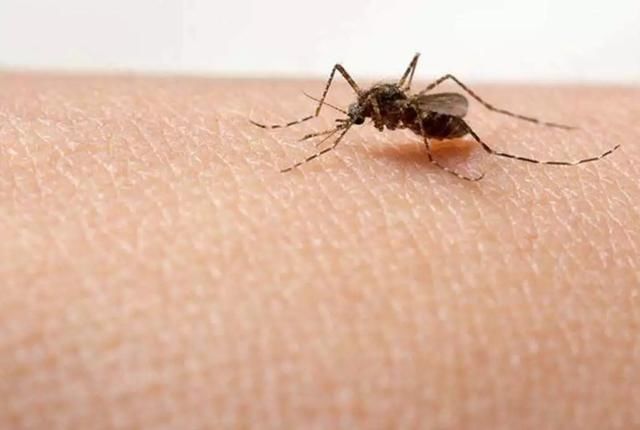 真的假的｜天气凉快了，8月的这些谣言也该降降温了