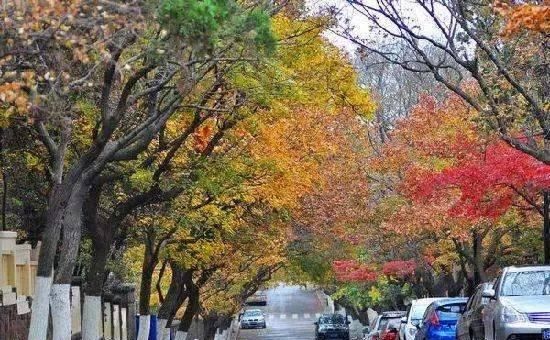 出发 | 金秋十月，这5个地方藏着中国最美的秋色！