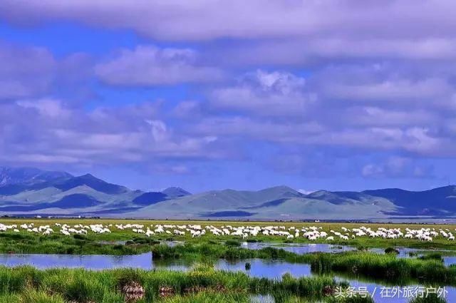 国庆四川游最强攻略，几乎囊括了四川全部美景，赏到你不想离开