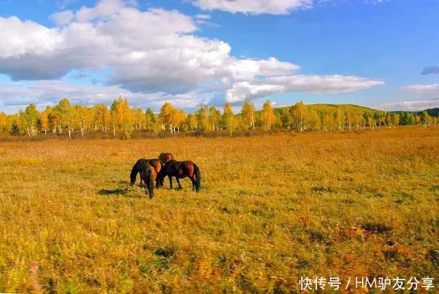 中国最美秋色：比喀纳斯清新，比稻城更童话！正适合秋天