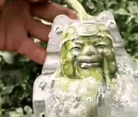  [男子]男子给西瓜穿上“衣服”，被邻居嘲笑，两个月后大家纷纷