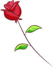 知否知否，应是暗香浮动，浙江已进入赏梅佳期！