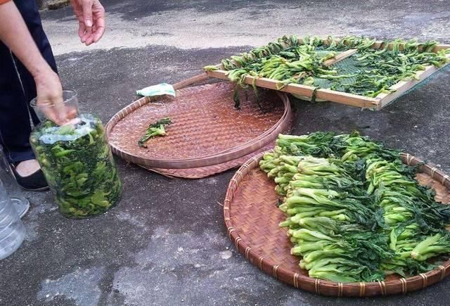  「农民」油菜田边的一种野菜，俗称“野腊菜”，腌酸菜堪称一绝