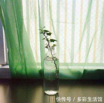 关于岁月流逝的句子语录, 拿去发朋友圈吧!