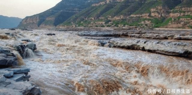为什么黄河泥沙那么多，鱼还又大又肥网友一句话阐明道理