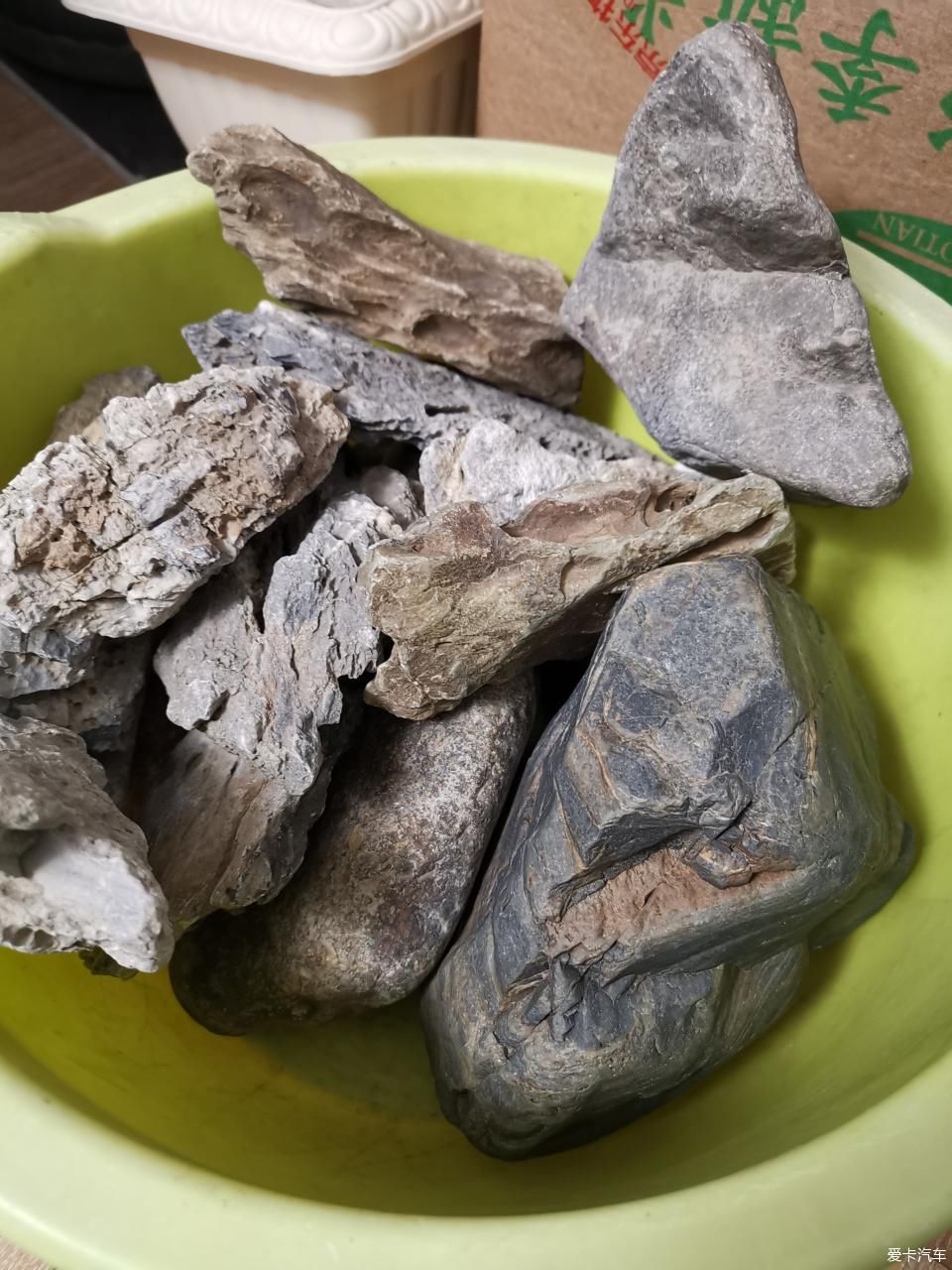  『水质』我家的花花草草第十四季-新手折腾水草缸