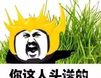 王者荣耀就是上不了王者