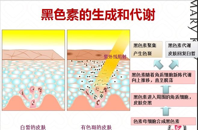 还不知道该怎么祛斑?不妨试试白醋加上它抹脸，一夜重回嫩滑肌!