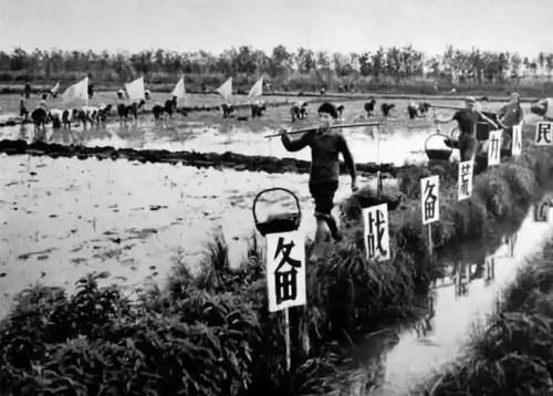  #北大荒#70年，中国凭什么震撼世界？