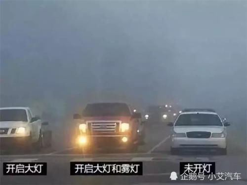  「老司机」高速行驶遇暴雨，立马打开双闪？老司机：你是低智商