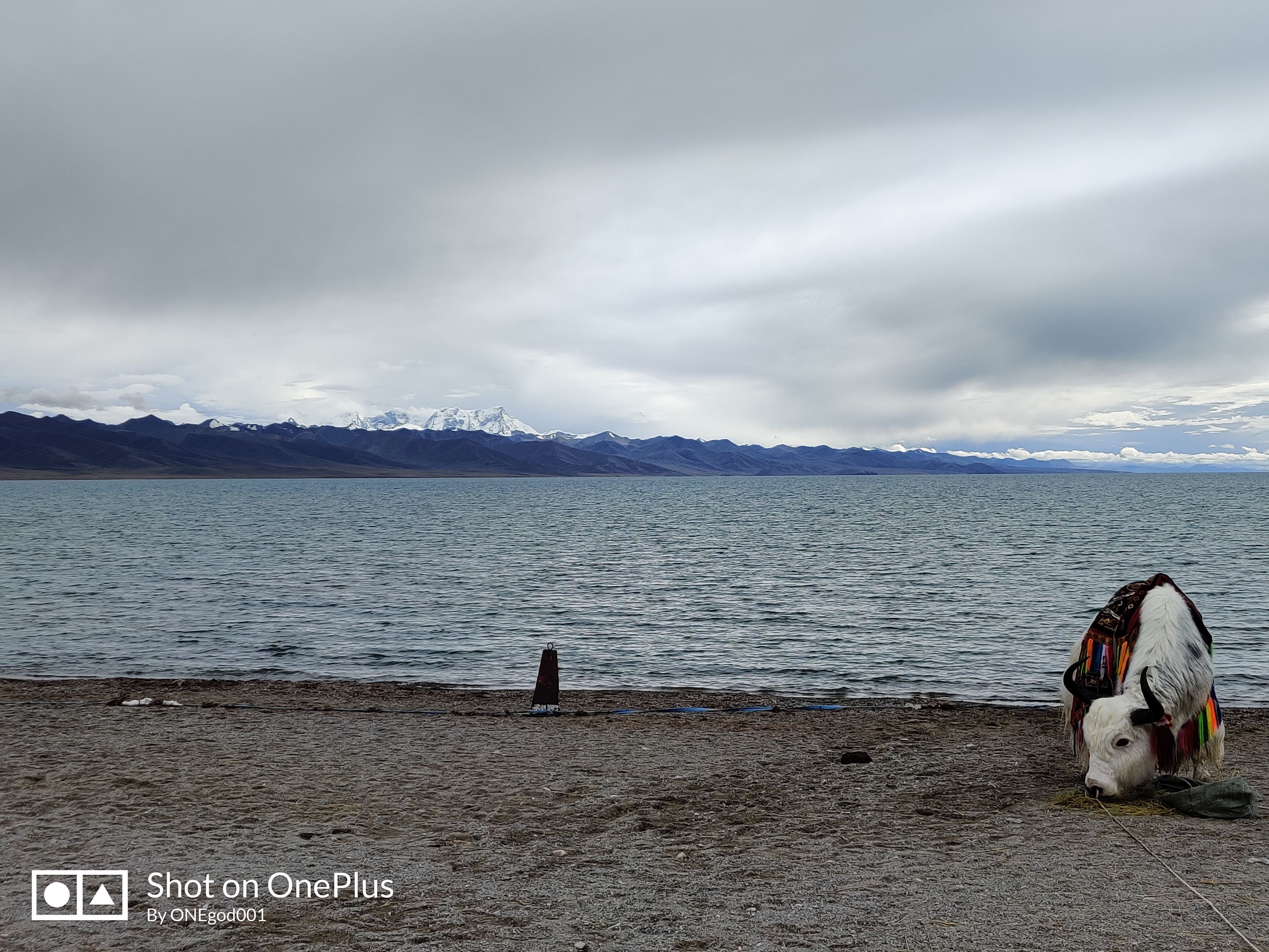 川进青出，十五天三省，318全线，冰川、湖泊、雪山探秘之旅。