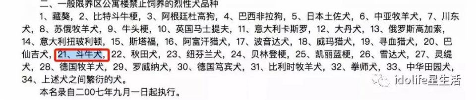 百万粉丝女网红遛狗不栓绳，还殴打8个月孕妇，真的好可怕!