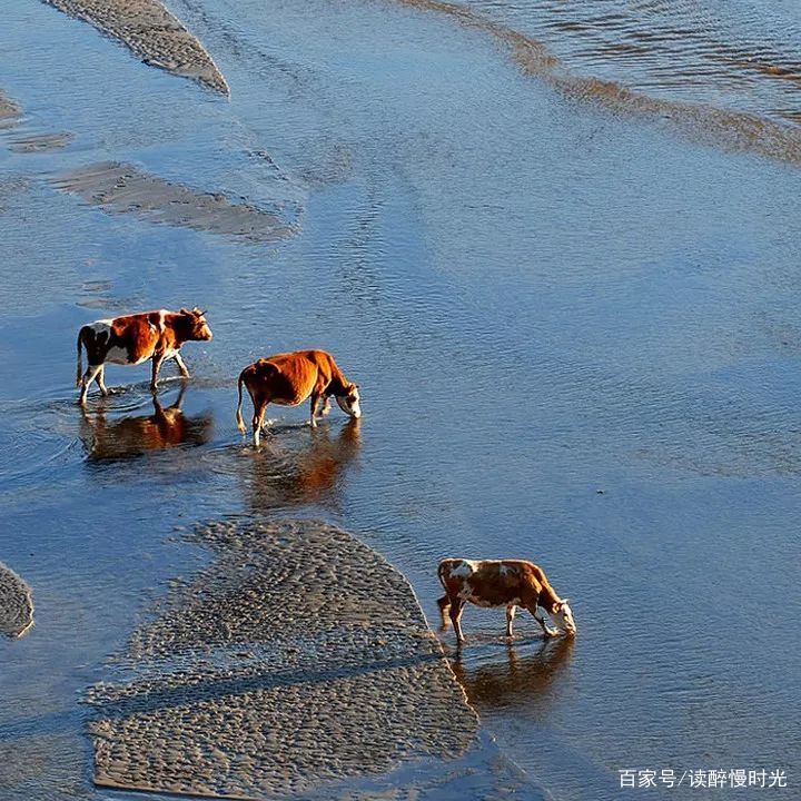 走进秋天的童话世界——乌兰布统大草原