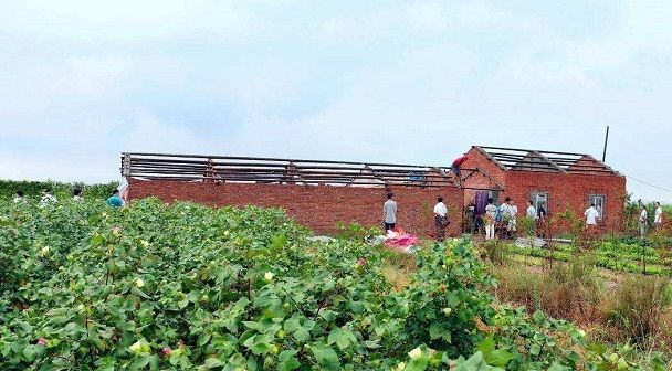  房子：农村禁止乱搭乱建，盖好的房子咋办？村干部说3种房屋强制