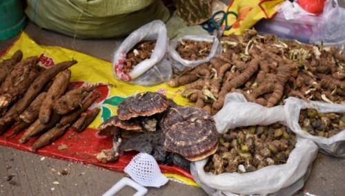 来云南逛墨江集市是个不错的选择，游客表示食材丰富，有的却不敢