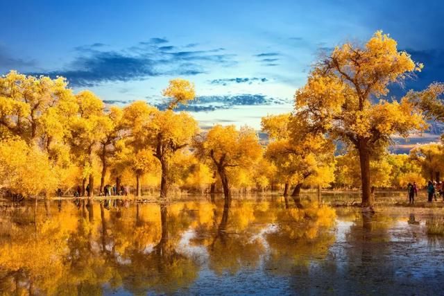 推荐|额济纳,她的美只有20多天,错过再等一年