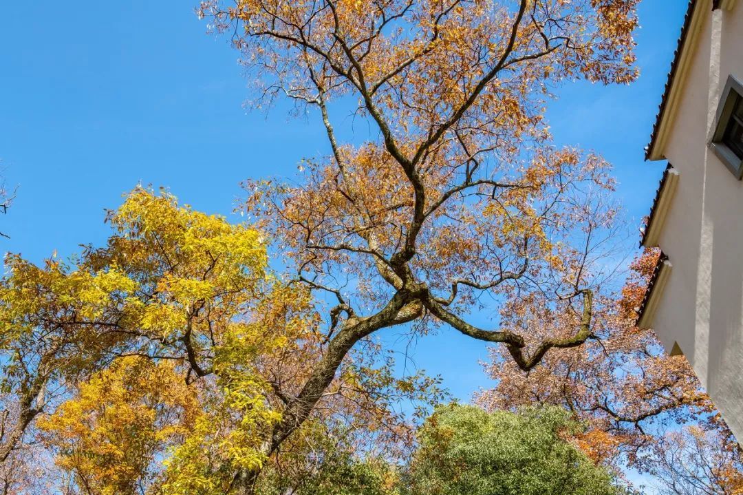 10个藏在深山人不知的古村落，却是世外桃源