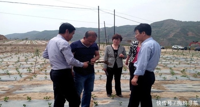 在农村未来几年下面几个职业很吃香，比打工还赚钱