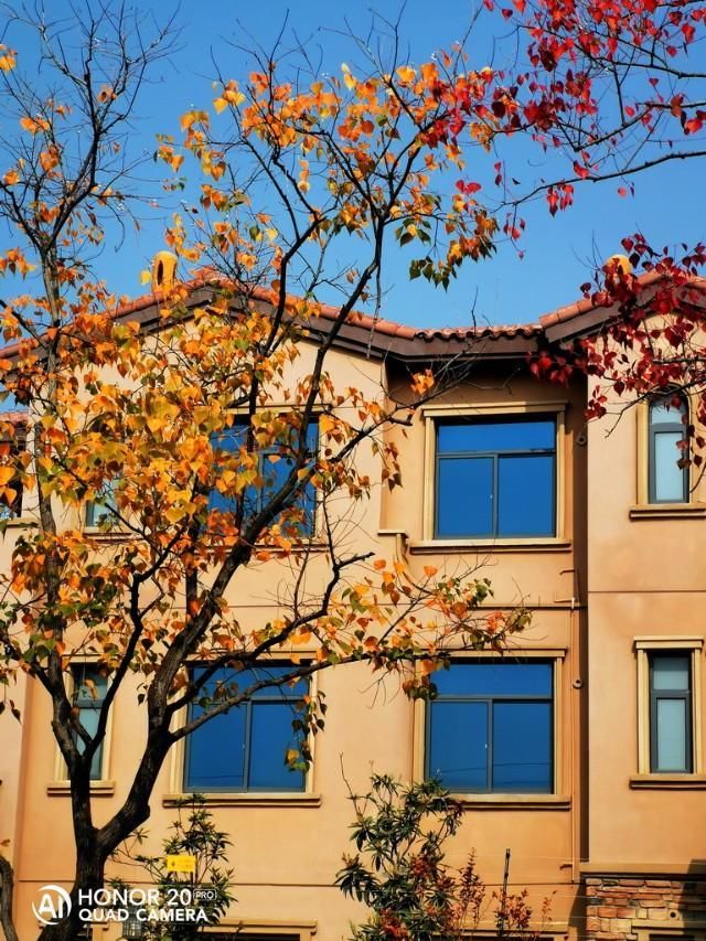 武汉红叶秋景点推介-花山春和路