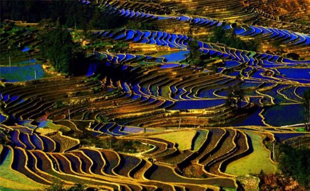 这个景点门票收费100元，但是游客却无人吐槽，纷纷称值回票价