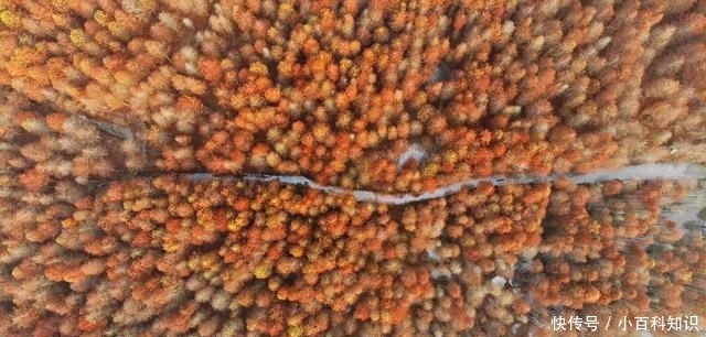 12月不知道去哪儿自驾游?安徽最美的6条自驾公路,条条惊险刺激