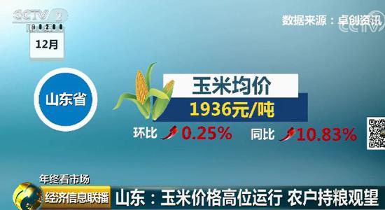 玉米价格高涨背后：东北粮源减少 企业深加工需求旺