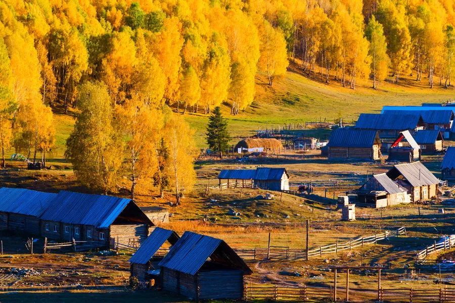 九月的新疆逼疯摄影师，勾走了你的魂