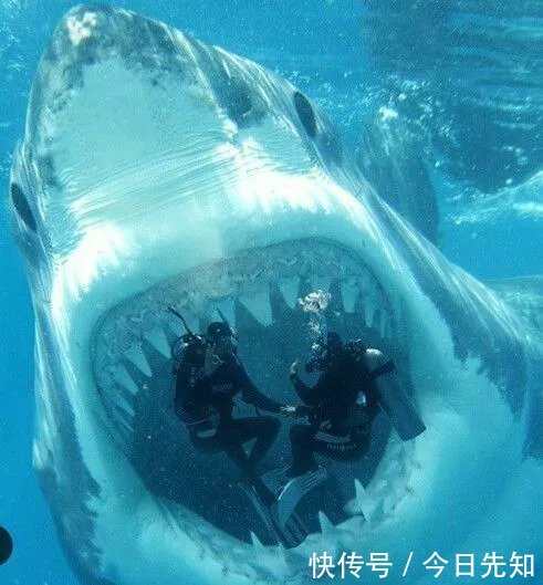 500年难得一见的顶级照片，让人叹为观止